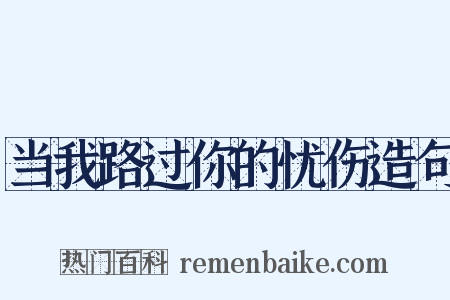 当我路过你的忧伤造句是什么意思的图片